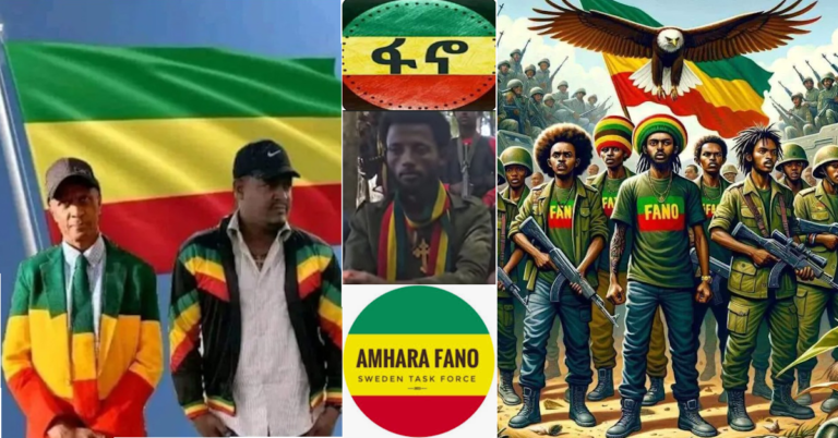 The Ethiopia Flag is a Sign of Neo-Colonialism, Not Unity