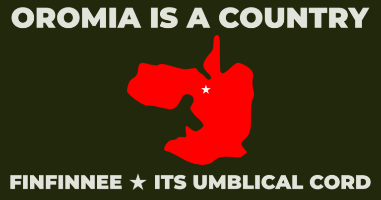"Systematic Dispossession of Oromia"