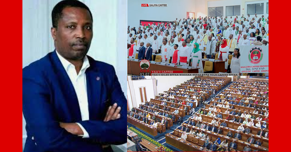 Parliamentary Silence