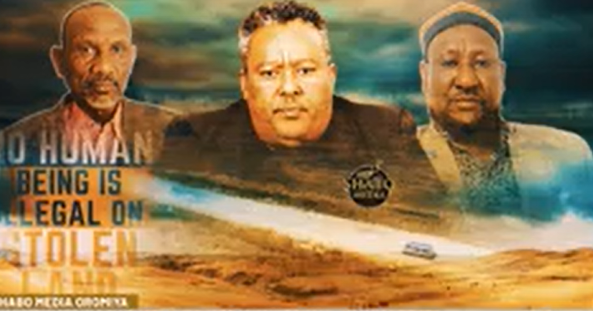 Shabo Media